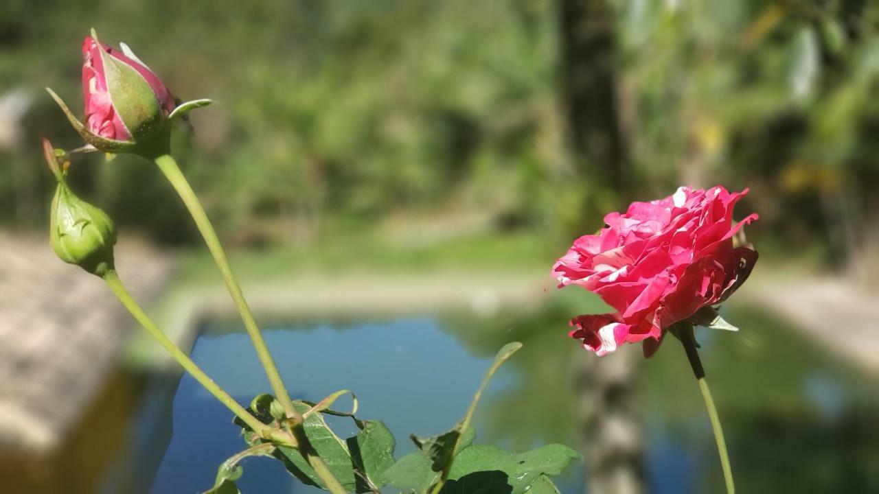 Recanto Luamar Pousada Sana Ngoại thất bức ảnh