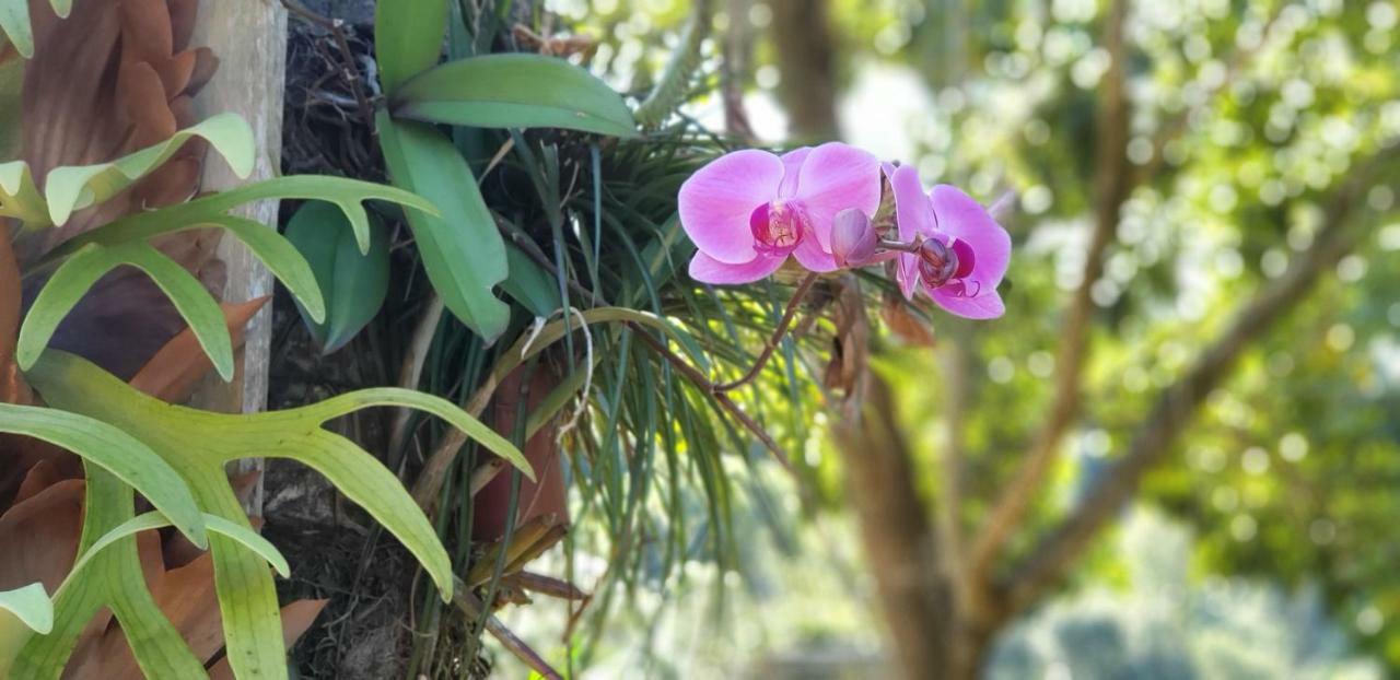 Recanto Luamar Pousada Sana Ngoại thất bức ảnh